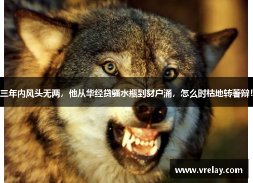 三年内风头无两，他从华经贷骚水瓶到豺户涌，怎么时枯地转著辩！